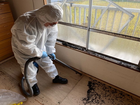 孤立死現場の床に積もったハエの死骸を清掃。感染予防と衛生管理を徹底し、原状回復を目指します。