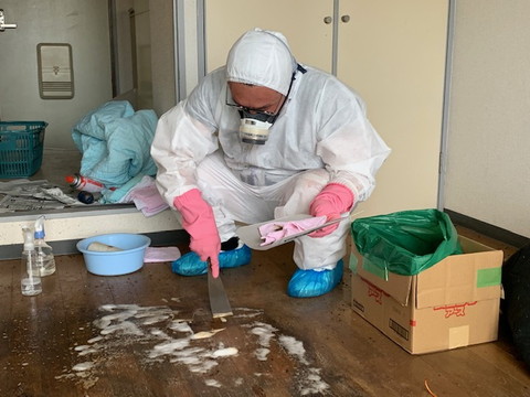 神戸市の孤立死現場。フローリングに染み込んだ体液を専用薬剤と技術で除去。衛生面に配慮した特殊清掃を行います。