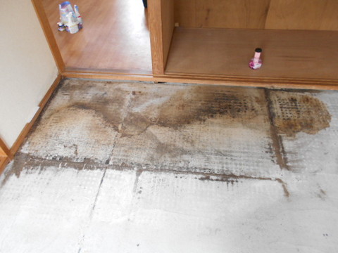 京都市の孤立死現場。畳下にまで体液が染み込み、コンクリートまで臭気と汚染が及んでいた現場の様子です。