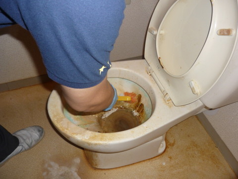 滋賀県のマンション、トイレでの孤立死後、臭気と衛生環境に配慮しながら丁寧に特殊清掃を実施。心を込めた対応を心がけています。