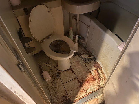 大阪の孤立死現場。床に染み込んだ血液に、トコジラミが集まり繁殖していました。衛生リスクの高い現場です。